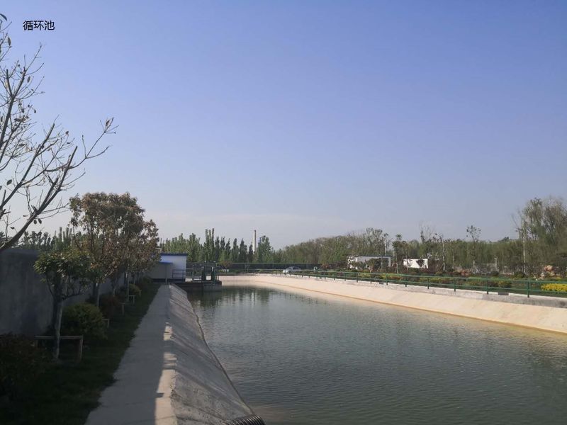 چین Shandong Xingshun New Material Co., Ltd. مشخصات شرکت 